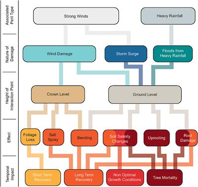 Sea Level Rise and the Dynamics of the Marsh-Upland Boundary